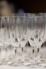 Empty clean champagne glasses in rows