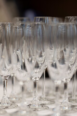 Empty clean champagne glasses in rows