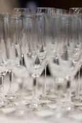 Empty clean champagne glasses in rows