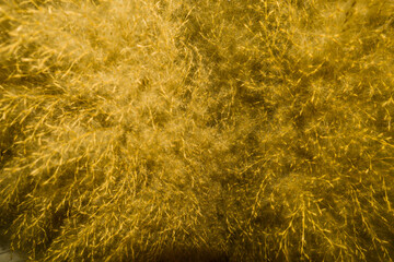 The background image is golden tones with shining light.