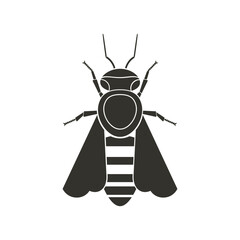 Honey bee with fantasy pattern. Geometric Insect icon. Decorative ornate vector illustration.