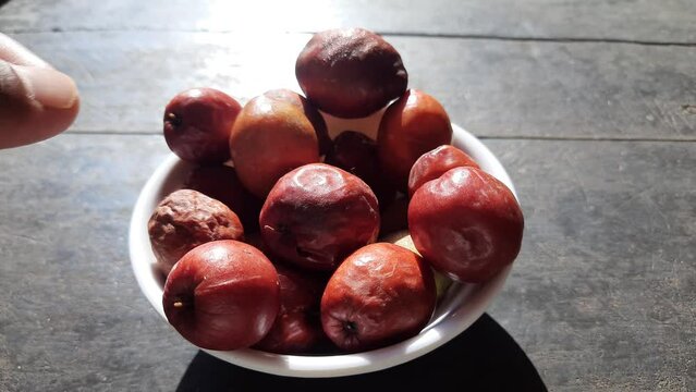 Ziziphus mauritiana. Its other names &nbsp;Indian jujube,&nbsp;Indian plum,&nbsp;Chinese date, Chinee apple, ber, beri and&nbsp;dunks fruit. This &nbsp;is a&nbsp;tropical&nbsp;fruit tree species belonging to the family&nbsp;Rhamnaceae. 
