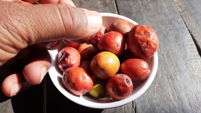 Ziziphus mauritiana. Its other names  Indian jujube, Indian plum, Chinese date, Chinee apple, ber, beri and dunks fruit. This  is a tropical fruit tree species belonging to the family Rhamnaceae. 
