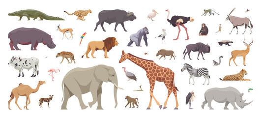 Flat set of africans animals. Isolated animals on white background. Vector illustration
