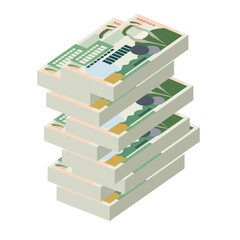 Fototapeta premium Jordanian Dinar Vector Illustration. Jordan, West Bank money set bundle banknotes. Paper money 1 JOD. Flat style. Isolated on white background. Simple minimal design.