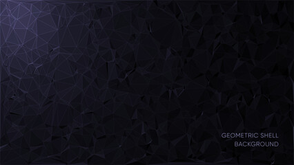 Fototapeta premium Abstract geometric background with triangle shape pattern. Vector design for technology web concepts, headers and banners.
