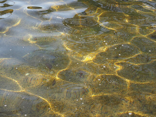 green water texture background