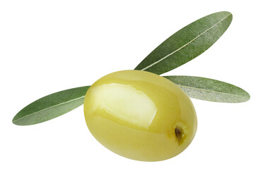 Single green olive with leaves, cut out