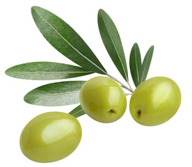 Delicious green olives with leaves, cut out