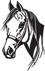 Horse head Vector illustration, on a white background, SVG