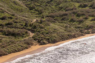 The flora on Riviera Bay on Malta island, Europe