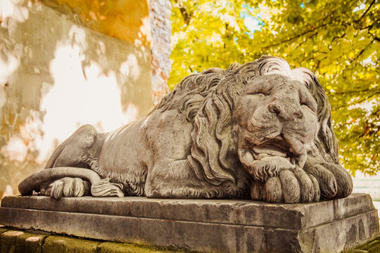 sculpture of sleeping lion in Lviv