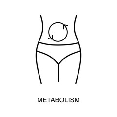 Metabolism line icon. Digestion process outline icon isolated on white background. Vector illustration