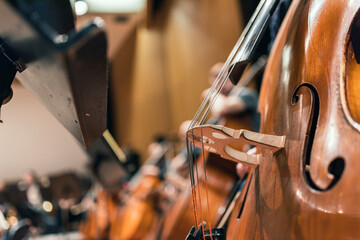 A double bass in a double bass section of an orchestra