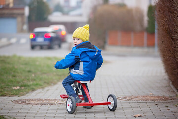 Toddler child, riding little tricycle in the park