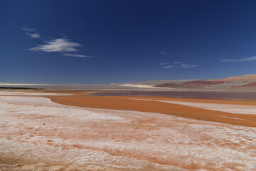 The Carachi Pampa lagoon, biosphere reserve, Argentina