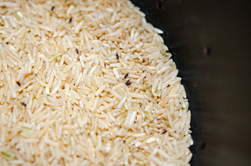 white rices destroyed by rice weevils