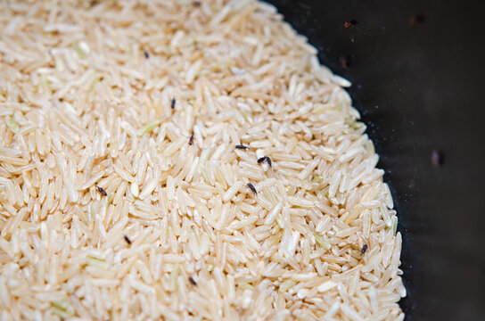 white rices destroyed by rice weevils
