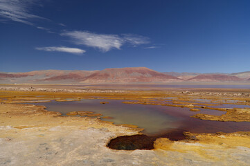The Carachi Pampa lagoon, biosphere reserve, Argentina