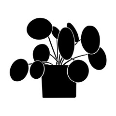 Pilea plante verte 1 pictogramme vecteur illustration 