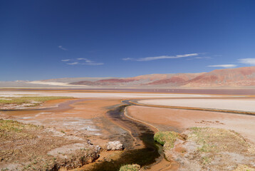 Fototapeta na wymiar The Carachi Pampa lagoon, biosphere reserve, Argentina