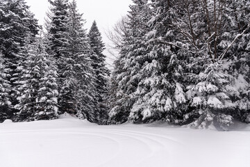 A snowy day in a mountain village by the river