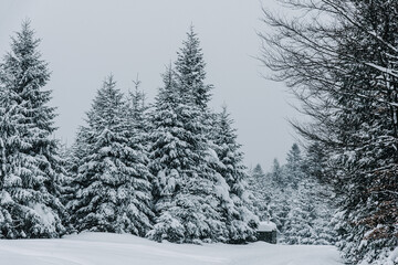 Fototapeta premium A snowy day in a mountain village by the river