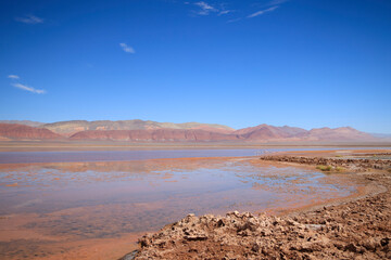 The Carachi Pampa lagoon, biosphere reserve, Argentina