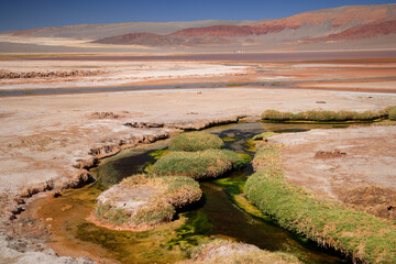 The Carachi Pampa lagoon, biosphere reserve, Argentina