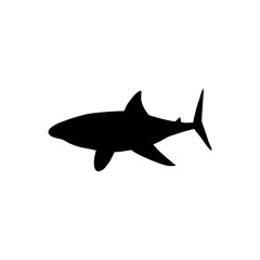 Obraz premium Shark. Sea animal. Marine animal in Scandinavian style.