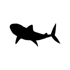 Shark. Sea animal. Marine animal in Scandinavian style.