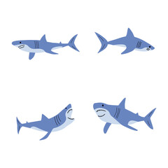 Obraz premium Shark. Sea animal. Marine animal in Scandinavian style.