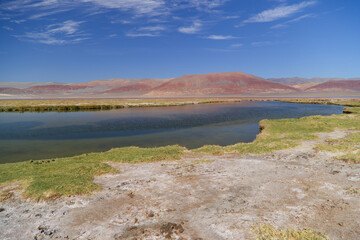 The Carachi Pampa lagoon, biosphere reserve, Argentina