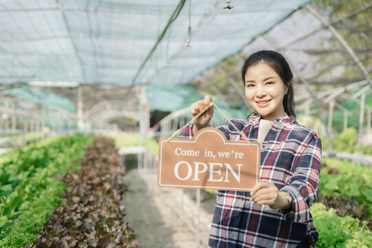 Asian farmer holding open sign on hydroponics organic vegetable farm The owner of the hydroponics salad garden takes customer orders to pack fresh vegetables.