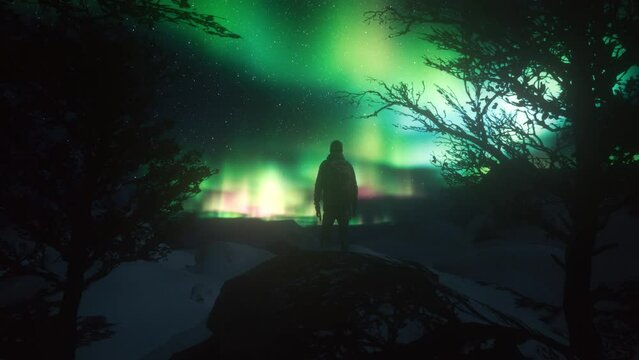 Hiker standing between two trees in a snowy landscape, he looks on the aurora lights.