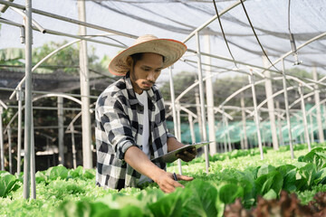 Obraz premium Asian farmer using hand holding tablet and organic vegetables hydroponic in greenhouse plantation. hydroponic salad vegetable garden owner working.