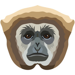 Gibbon. The face of the monkey is depicted in vector style. A vivid image of a primate. Logo, illustration isolated on white background.