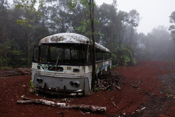 Autobús abandonado en Entorno natural y vegetación de las islas de Hawaii, 