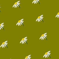 Chamomile seamless pattern for wallpapers, backgrounds and prints