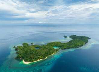 Tropical island in the blue sea with sandy beach. Danjugan islands, Philippines.
