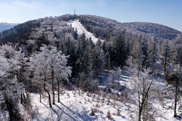 Widok na Szyndzielnię, śnieg na drzewach, Beskid Śląski.