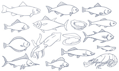 Fish line drawing vector collection