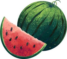 Drawing of a watermelon, a whole watermelon and a slice of red juicy watercolor