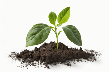 Earth's Day. View of a seed growing in the soil. Generative AI