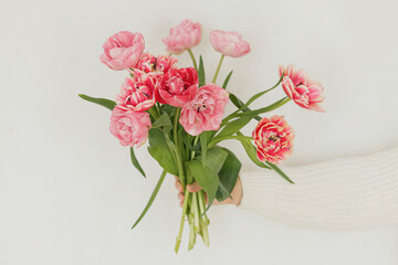 Stylish pink tulips in hand on white wall background. Woman holding beautiful spring bouquet close up, copy space. Greetings with Happy mothers day and womens day
