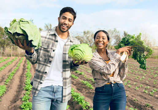 Farming, harvest and interracial couple with vegetables from their sustainable, agro and agriculture farm. Sustainability, small business and portrait of man and woman with growth from food on field - Powered by Adobe