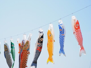 鯉のぼり, Koinobori (Carp Streamer)