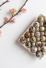 Organic farm quail eggs with spring flowers on the white table. Easter celebration concept top view.