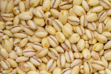 Close up of pearl barley