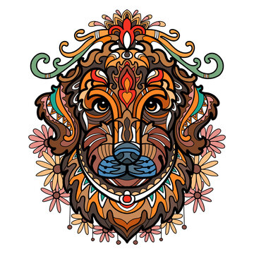 Abstract head of retriever dog vector illustration